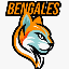 Bengales FC 