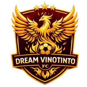 Dream Vinotinto Fc